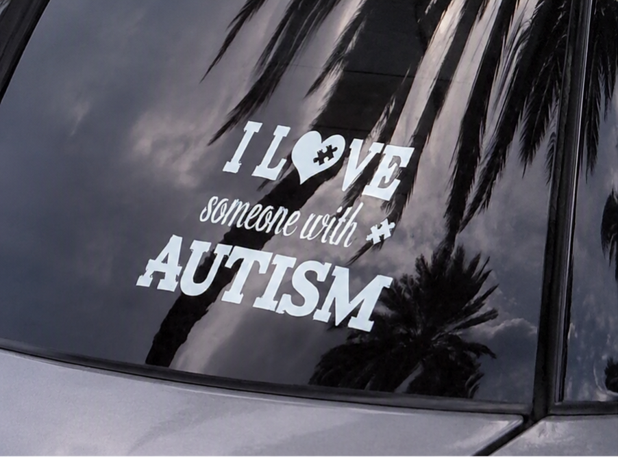 Autism car decal/ Vinyl sticker