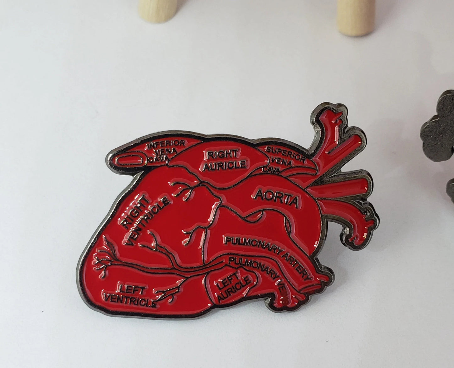 Anatomical Heart Enamel Pin – Medical Lapel Pin for Nurses, Doctors & Students – Cute Anatomy Badge Gift