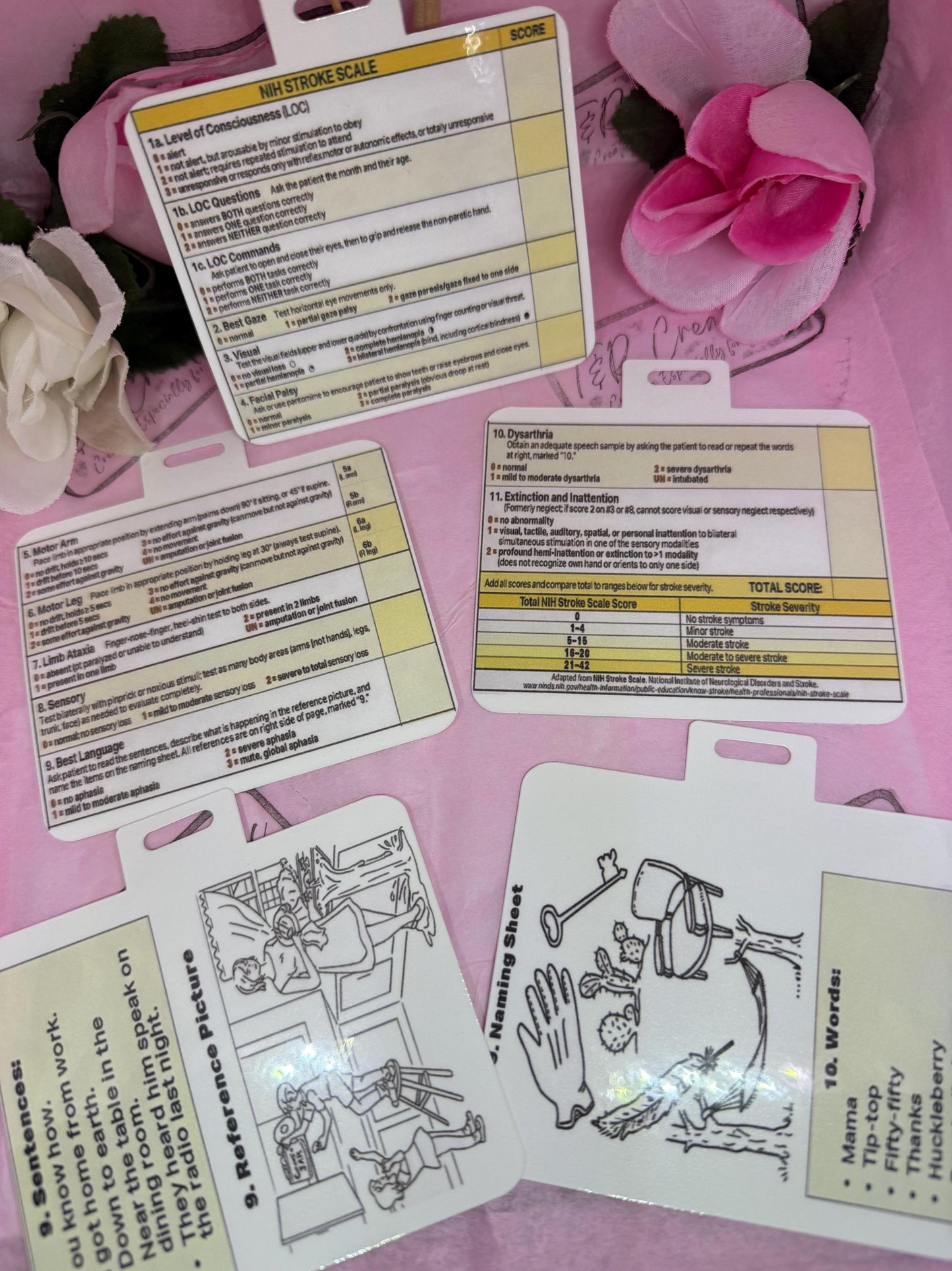 NIH Stroke Scale Mini Card: Nurse Badge Clip, Waterproof