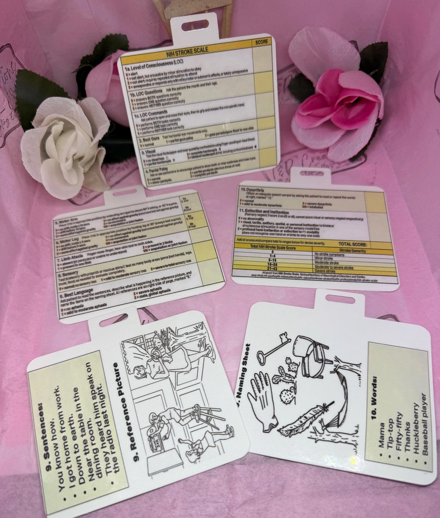 NIH Stroke Scale Mini Card: Nurse Badge Clip, Waterproof